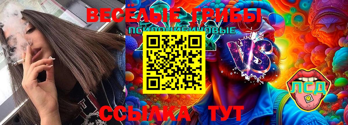 Псилоцибиновые грибы Cubensis  Вход с VPN  Гусев 
